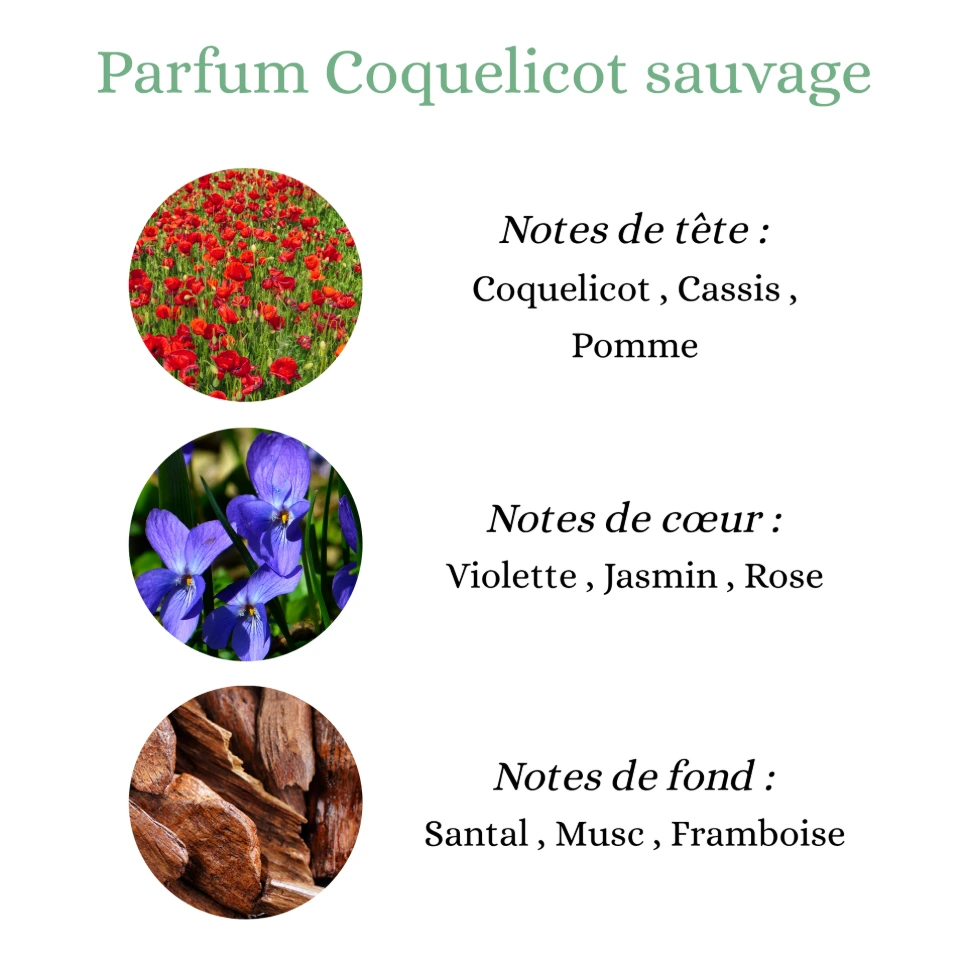 Pyramide senteurs (5).png