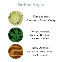 Pyramide senteurs.png