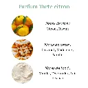 Pyramide senteurs (1).png