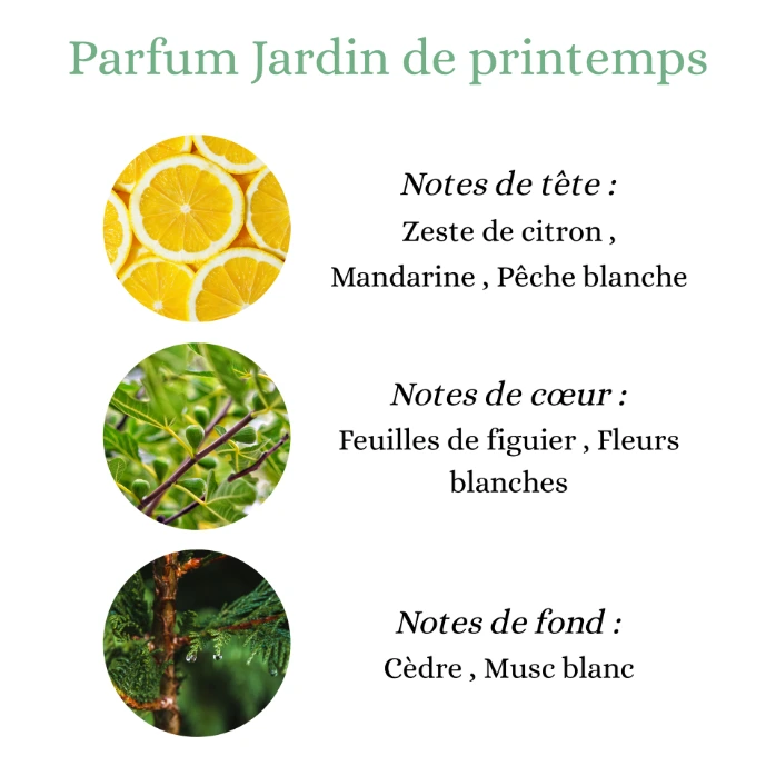 Pyramide senteurs (2).png