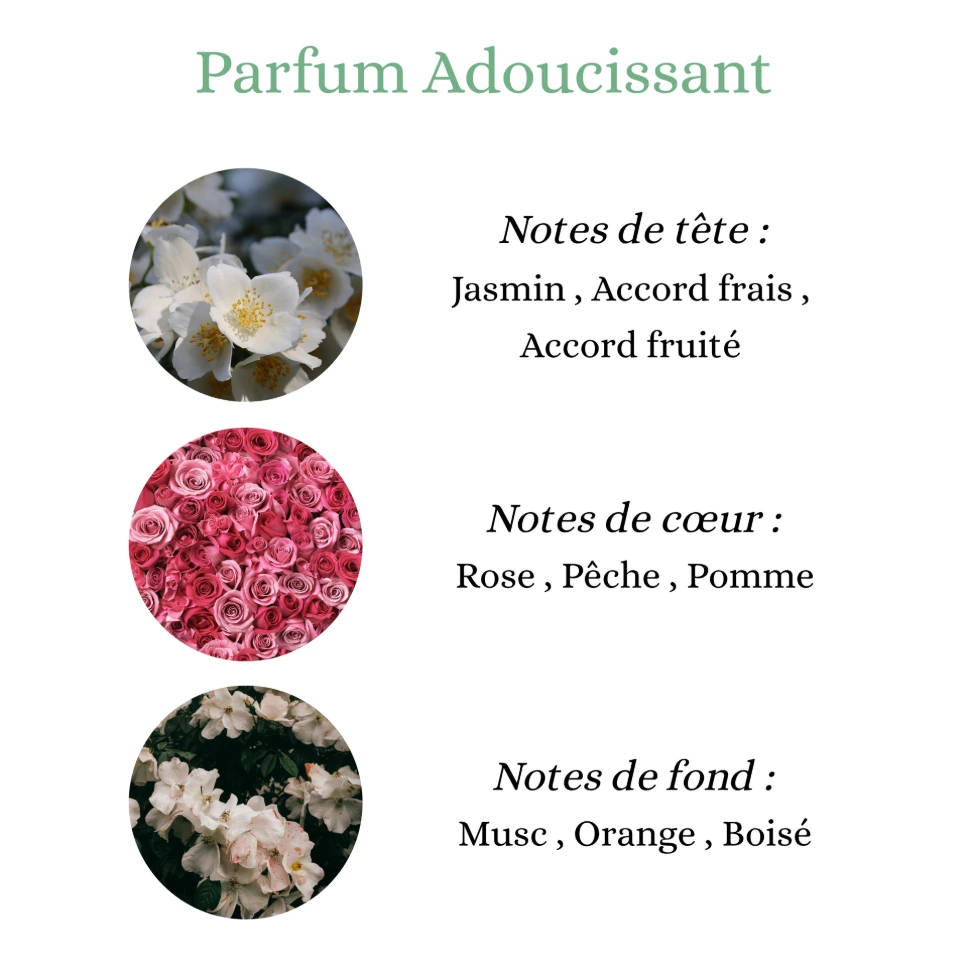 Pyramide senteurs (4).png