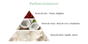 Pyramide senteurs (3).png