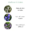 Pyramide senteurs (27).webp