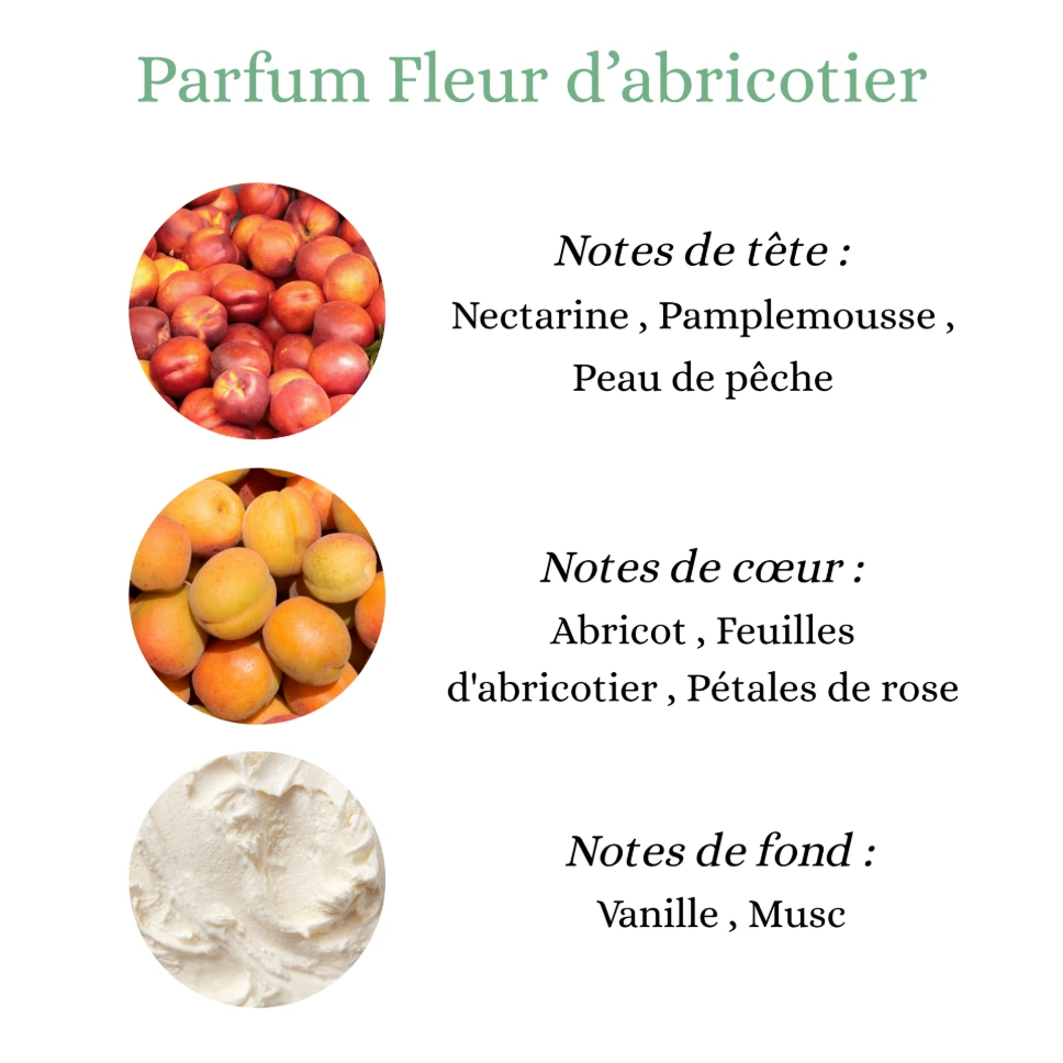 Pyramide senteurs (2).webp