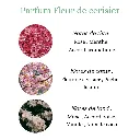 Pyramide senteurs (3).webp