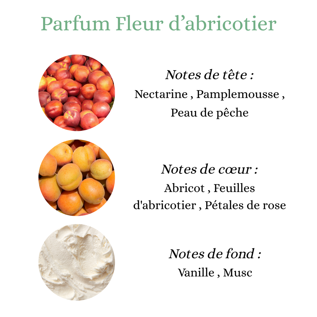 Pyramide carrée (3).png