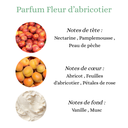 Pyramide carrée (3).png