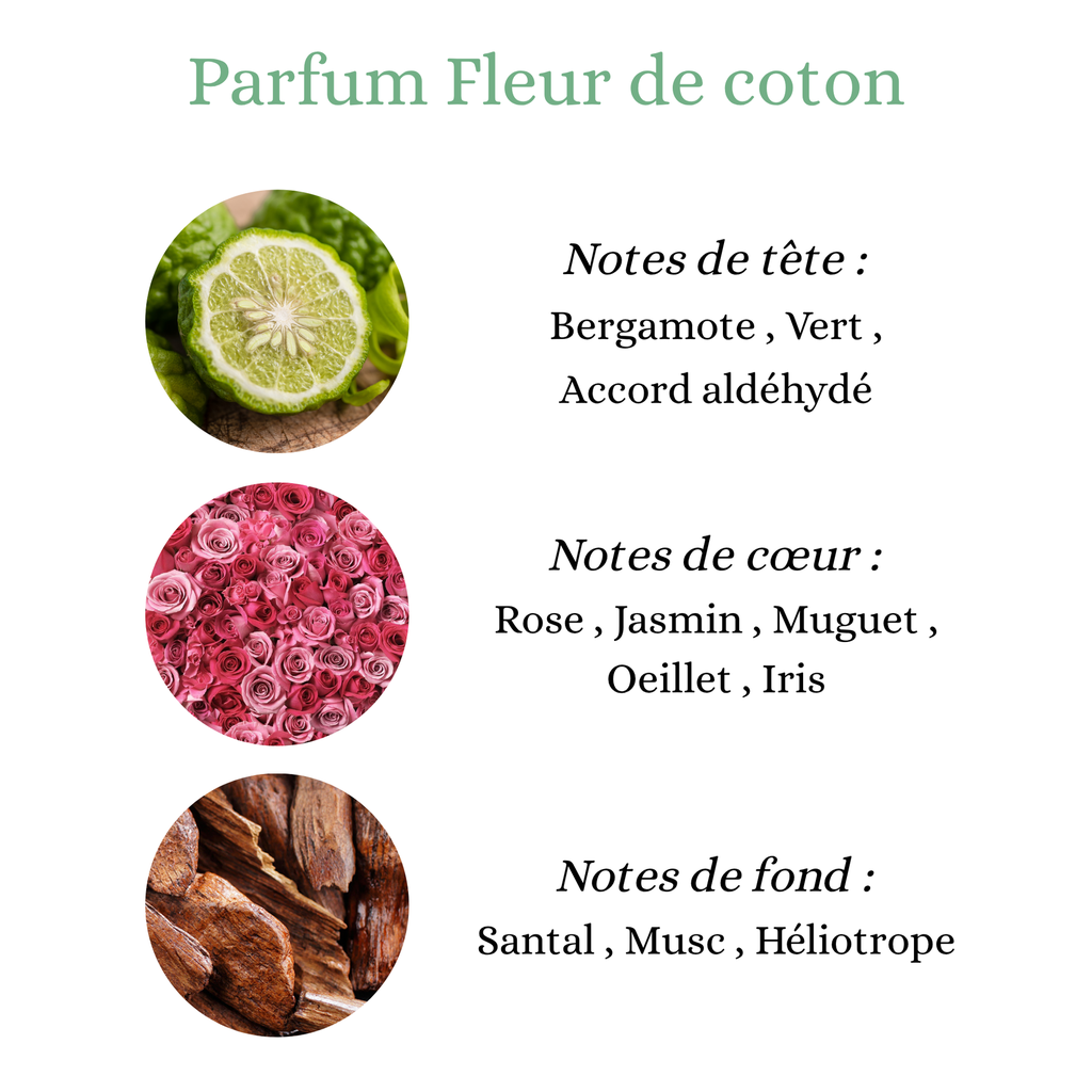 Pyramide carrée.png