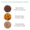 Pyramide carrée (3).png