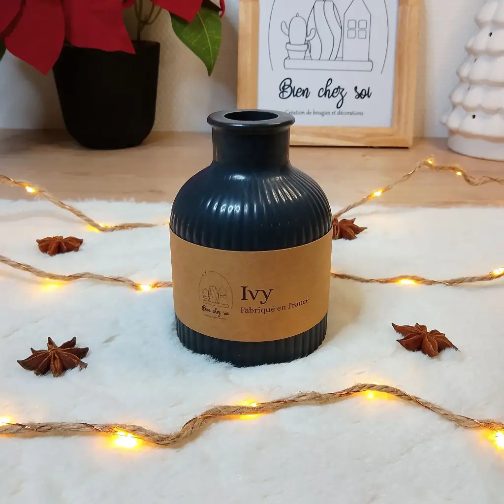 Vase Ivy noir