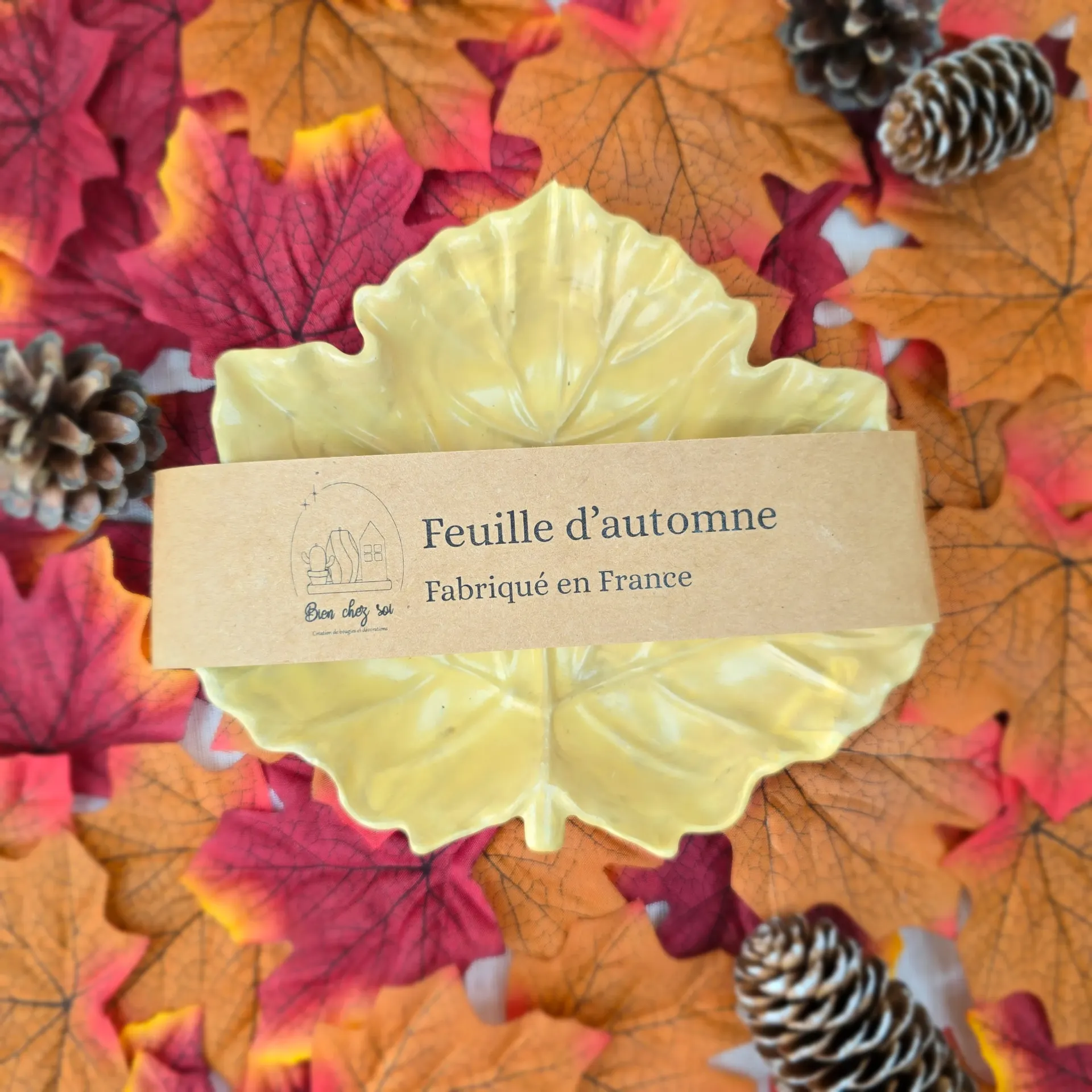 Vide poche Feuille d'automne marbré ocre