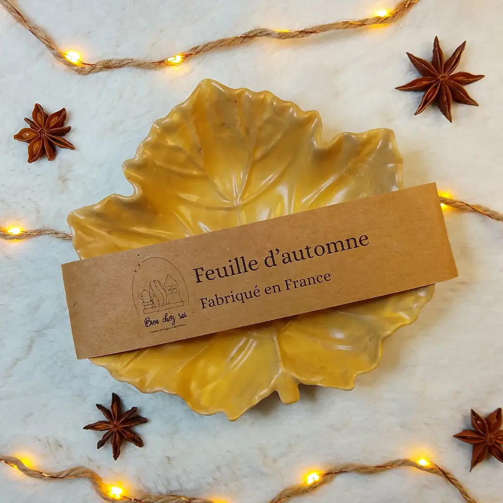 Vide poche Feuille d'automne marbré ocre