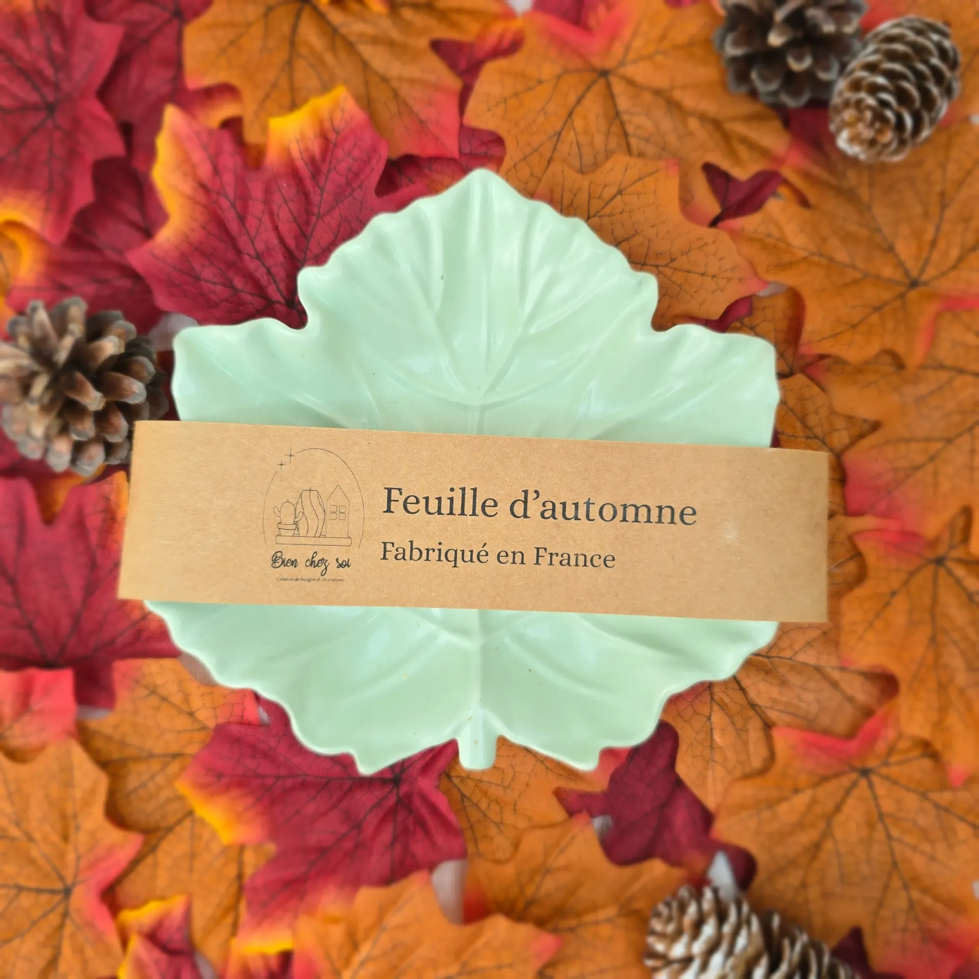 Vide poche Feuille d'automne vert sauge