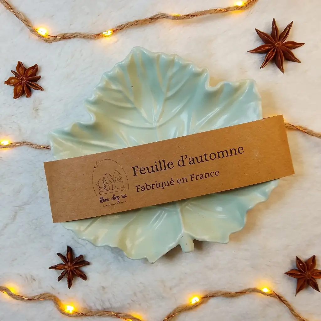 Vide poche Feuille d'automne vert sauge