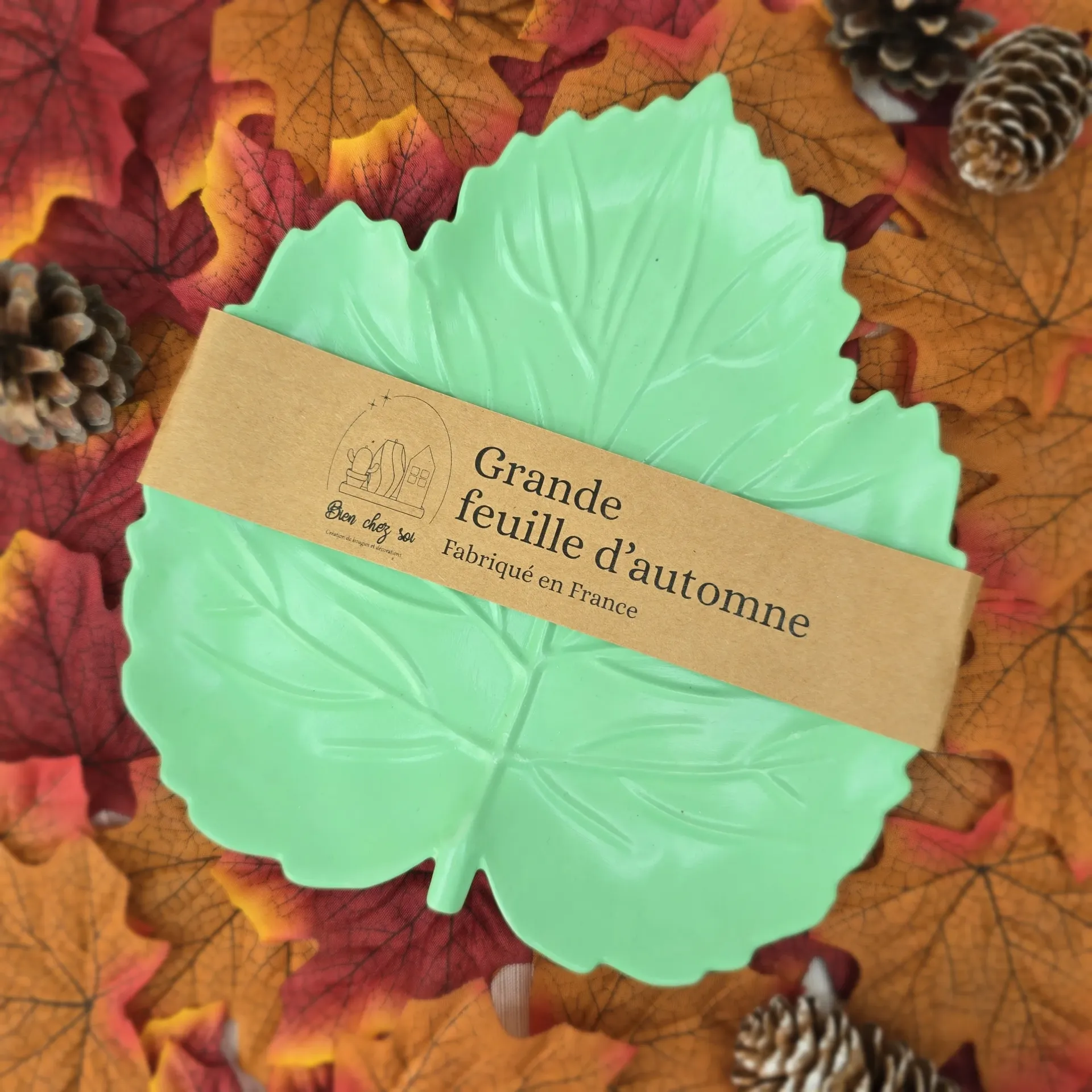 Vide poche Grande feuille d'automne vert