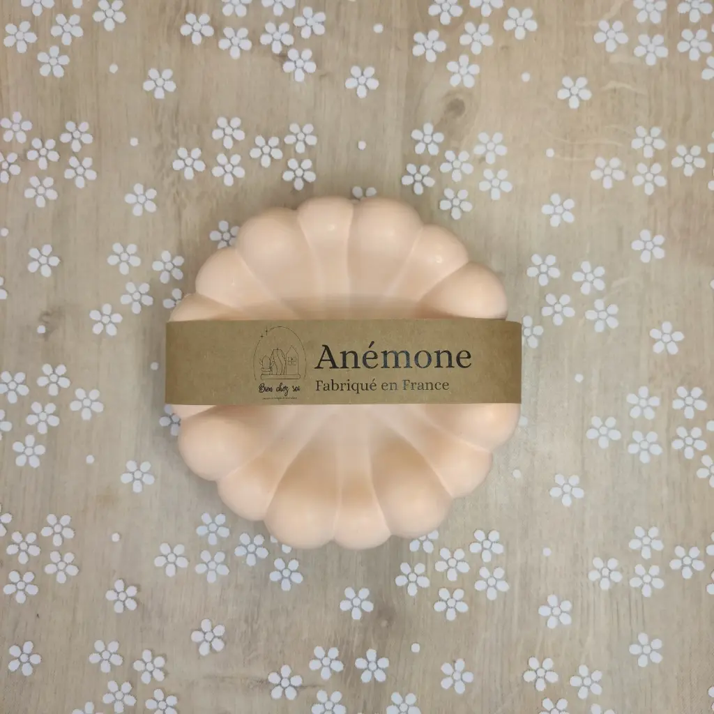 Vide poche Anémone orange