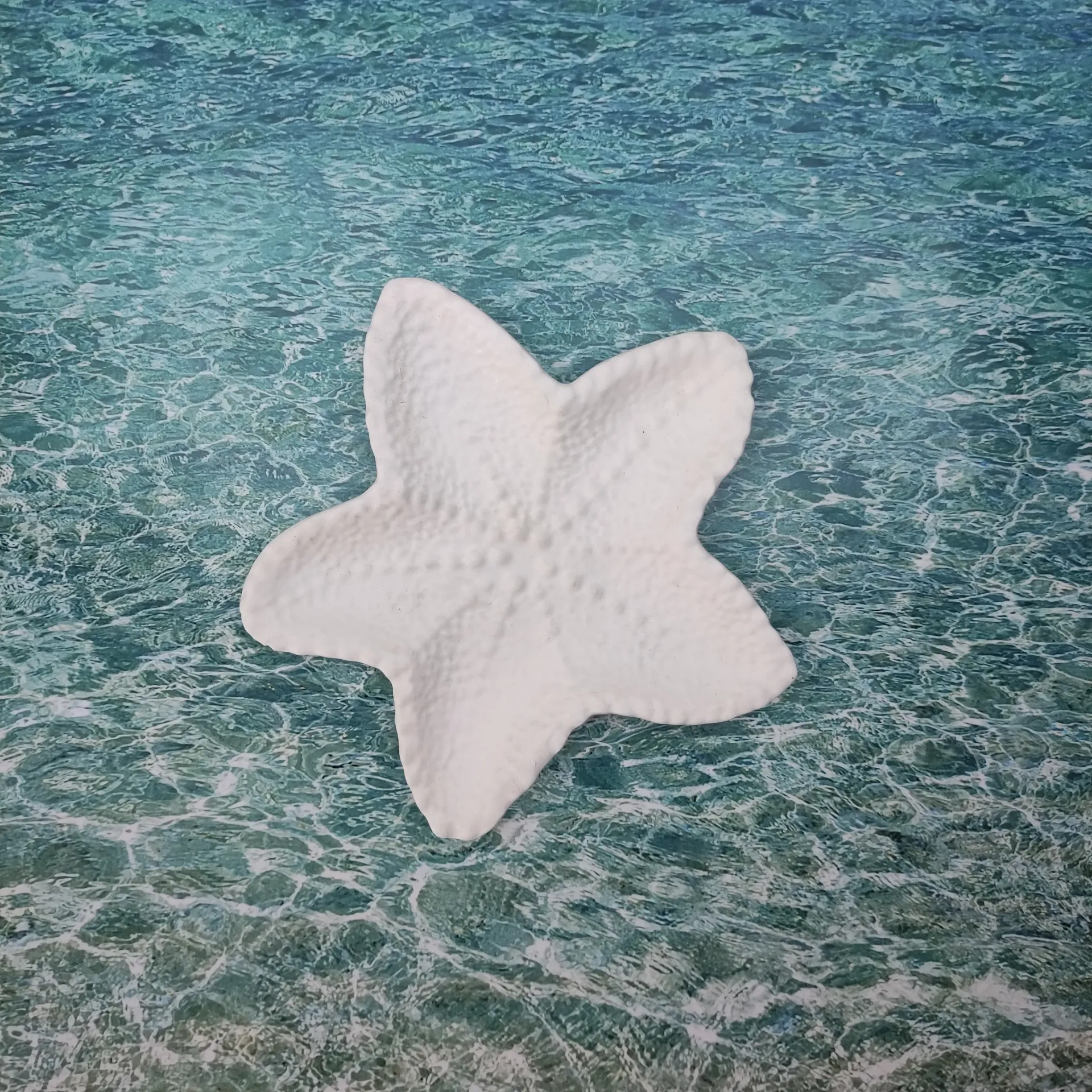 Vide poche Stella blanc