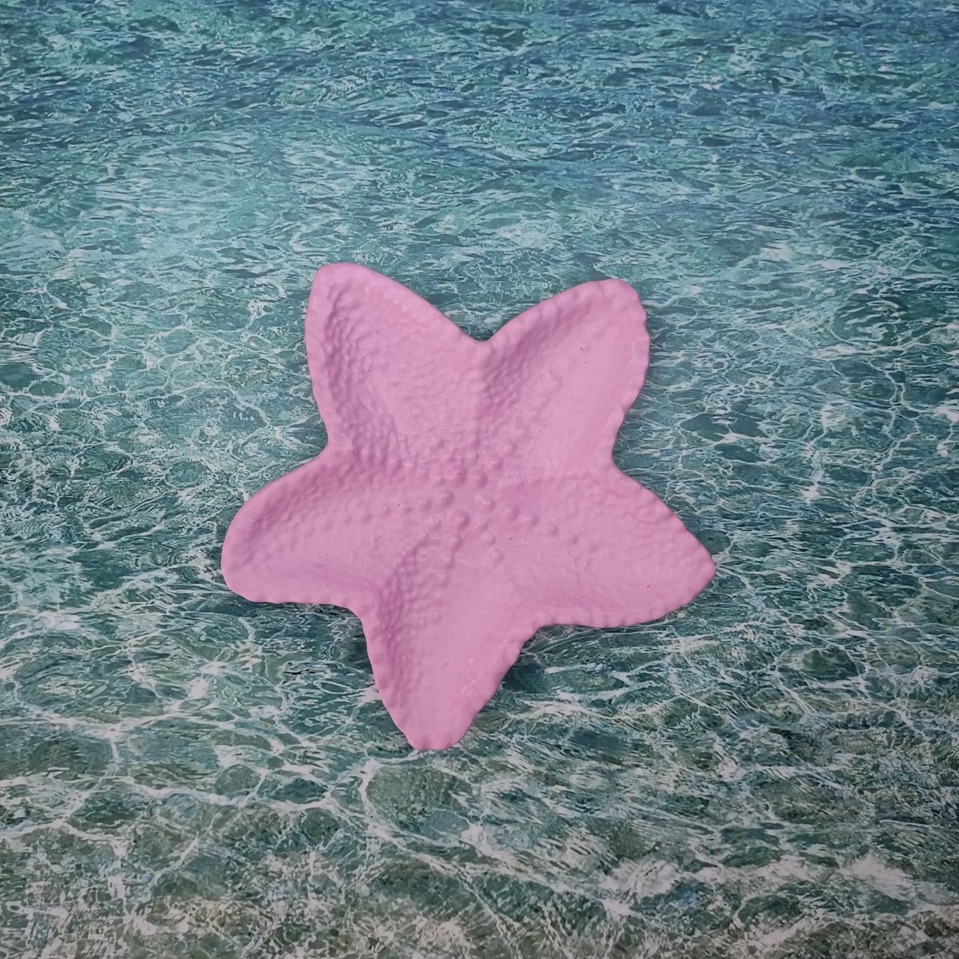 Vide poche Stella rose