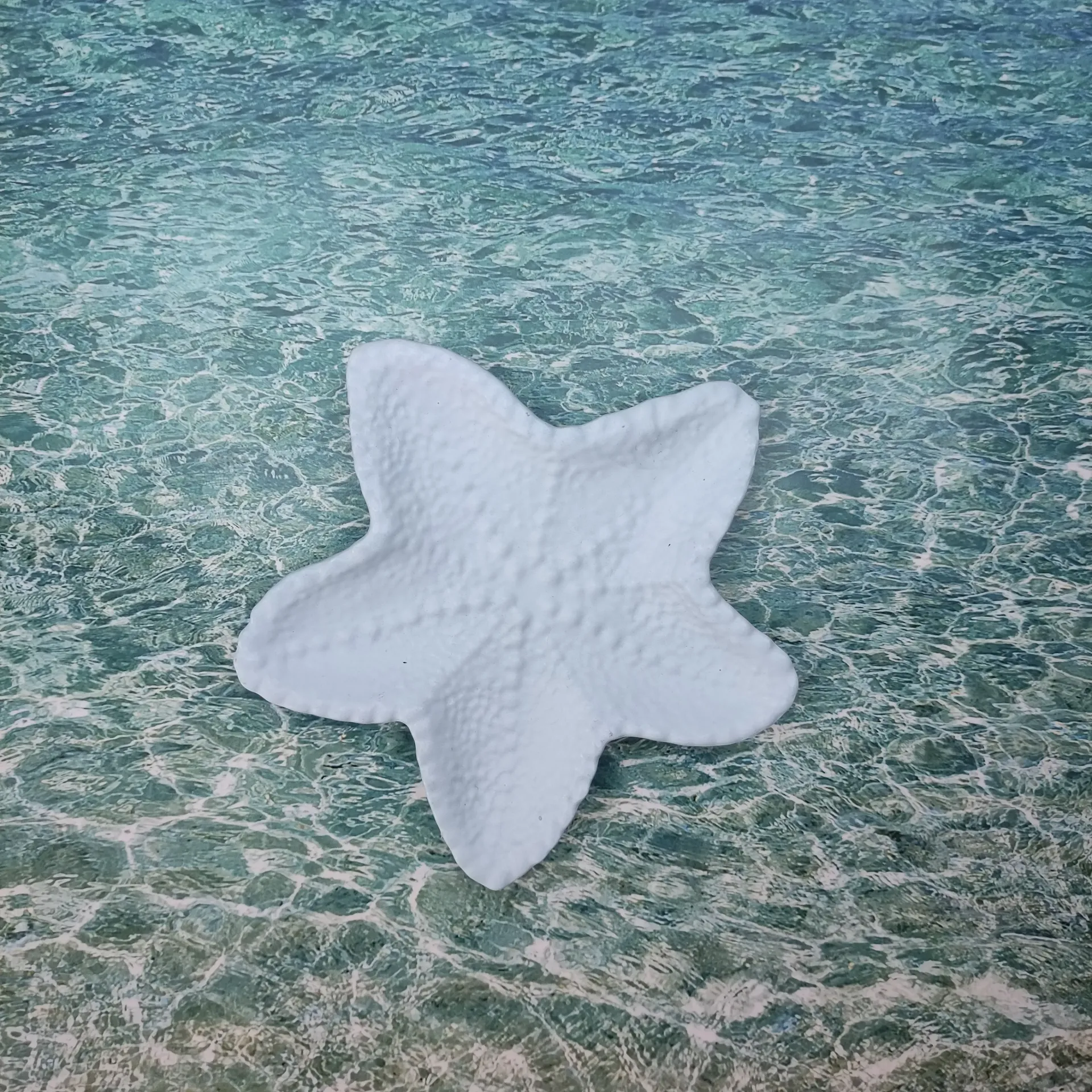 Vide poche Stella bleu pastel