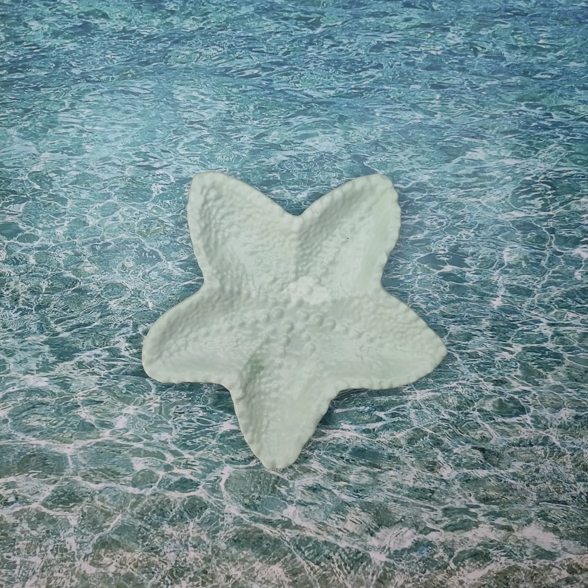 Vide poche Stella vert pastel