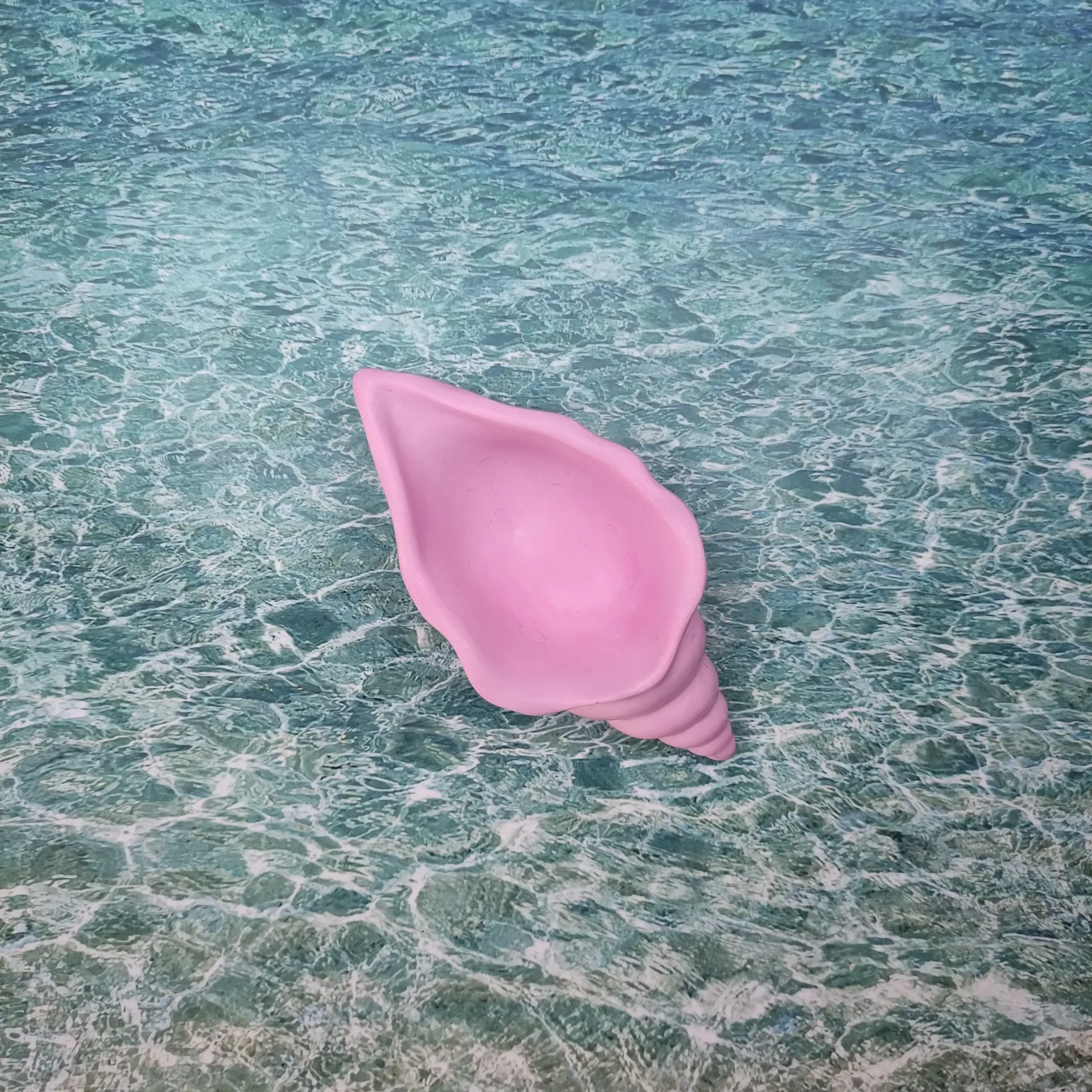 Vide poche Triton rose