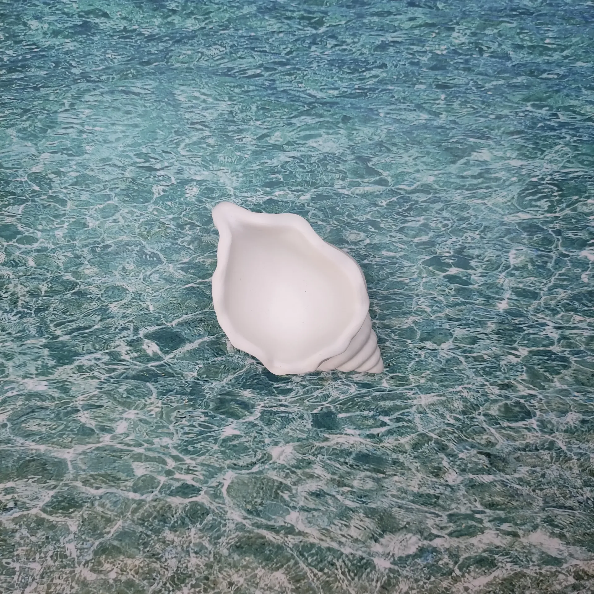 Vide poche Thyca blanc