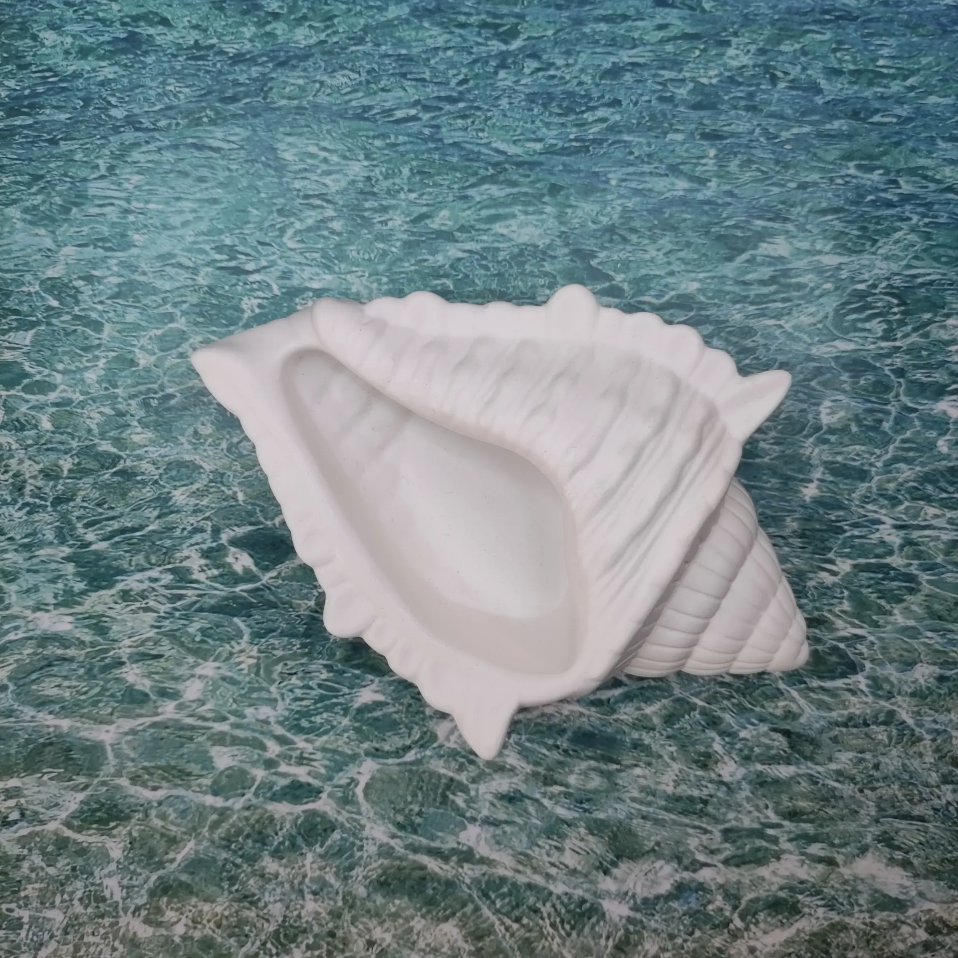 Vide poche Murex blanc