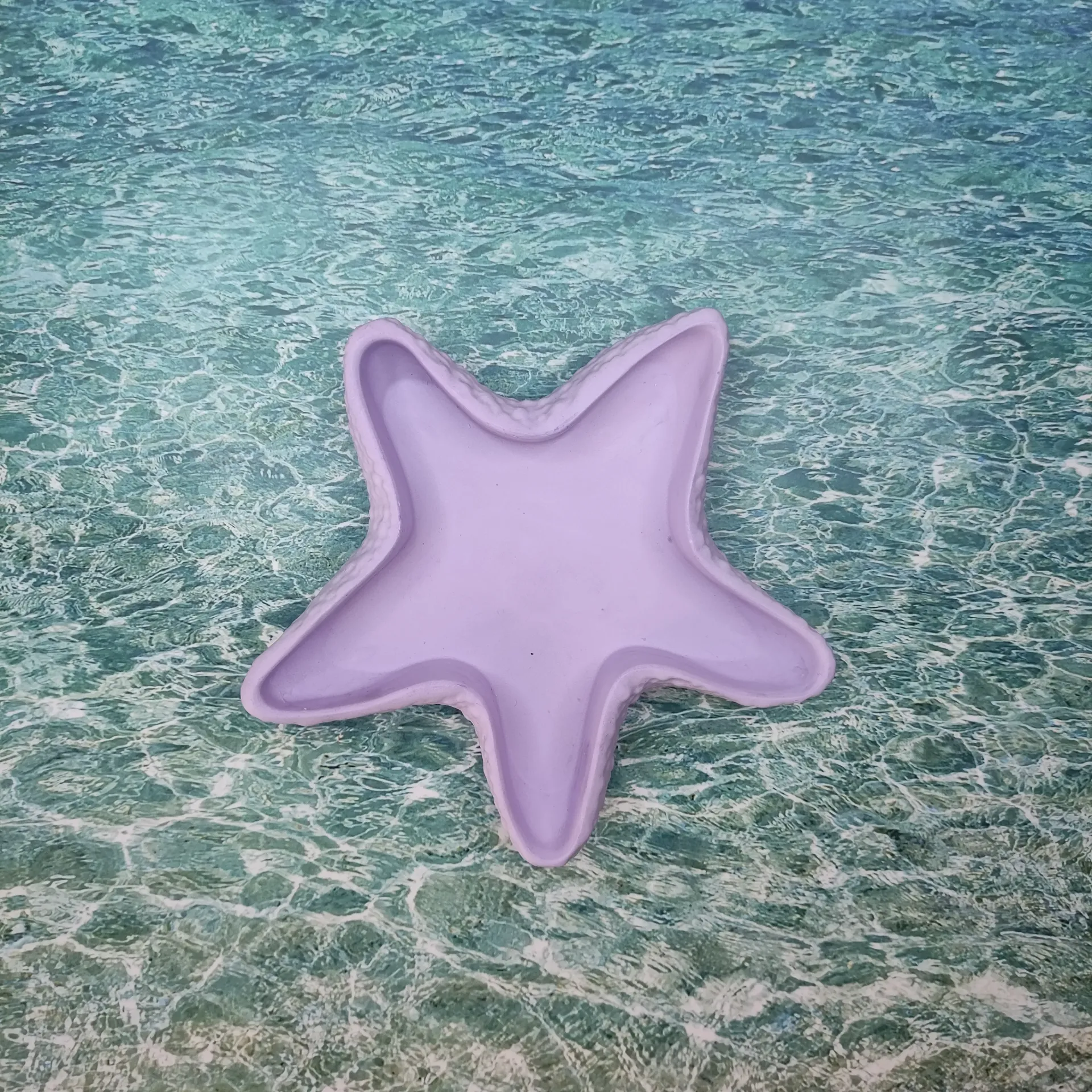 Vide poche Estrella violet