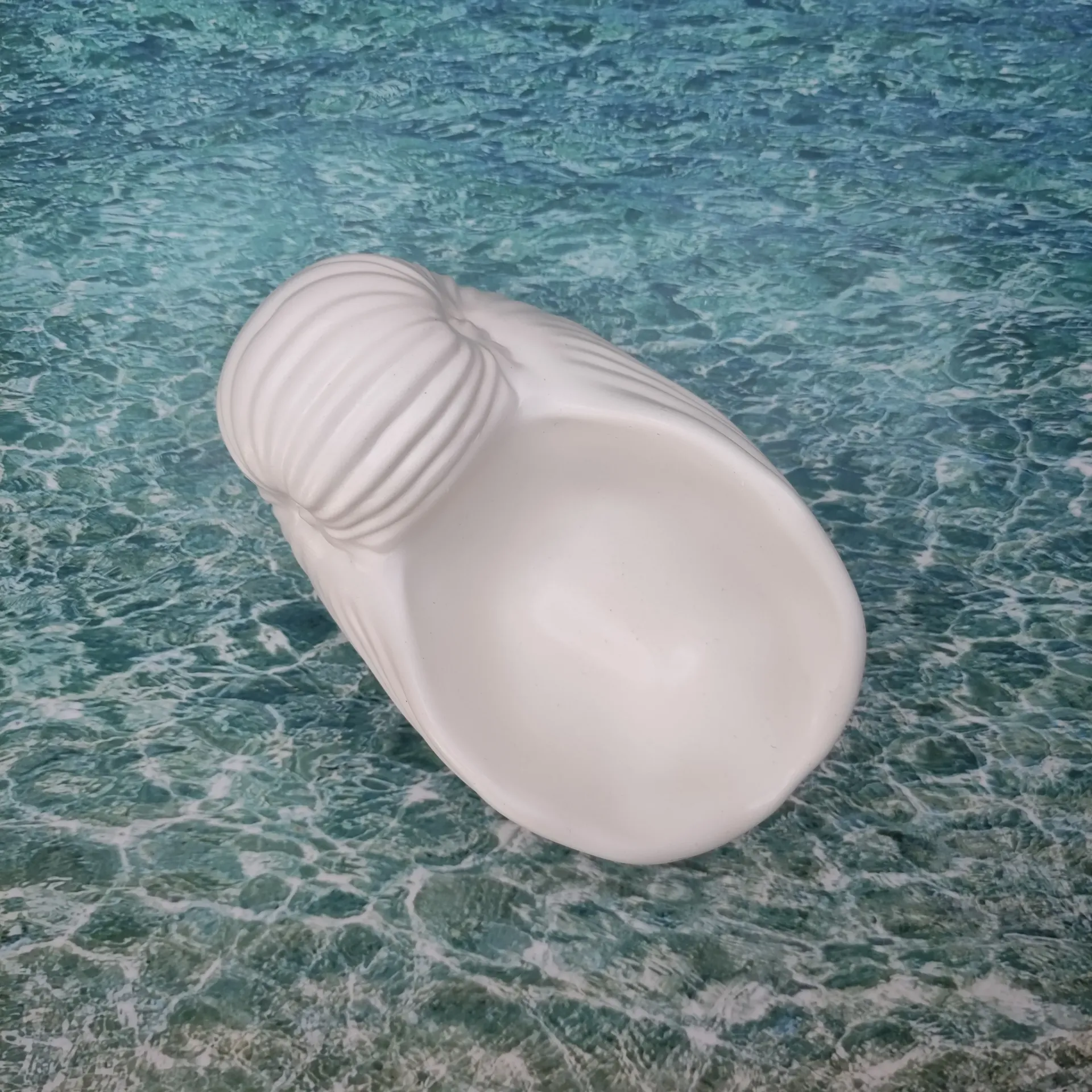 Vide poche Nautile blanc