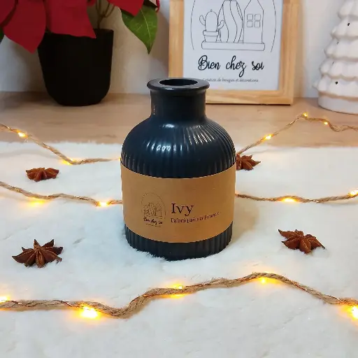Vase Ivy noir