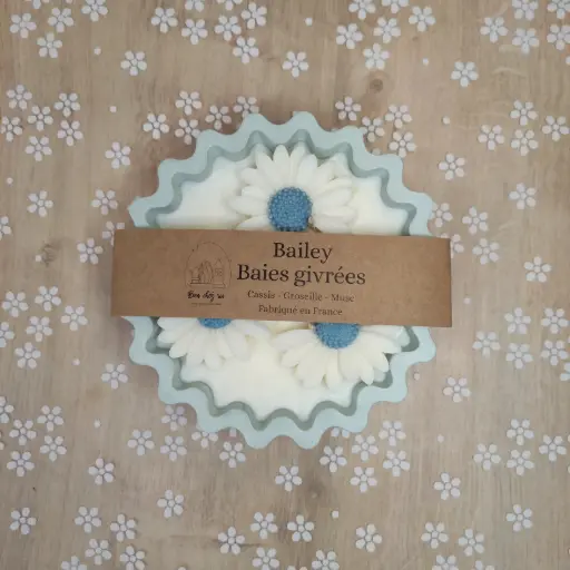 Bougie Bailey Baies Givrées