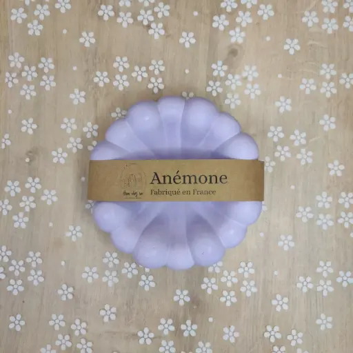 Vide poche Anémone violet