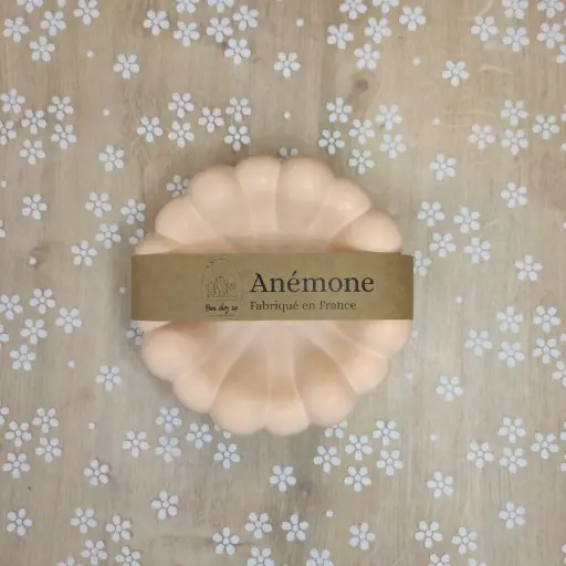 Vide poche Anémone orange